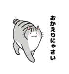 猫！猫！猫！猫（個別スタンプ：24）