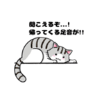 猫！猫！猫！猫（個別スタンプ：25）