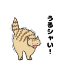 猫！猫！猫！猫（個別スタンプ：29）