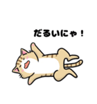 猫！猫！猫！猫（個別スタンプ：31）