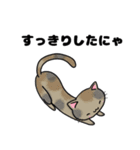 猫！猫！猫！猫（個別スタンプ：33）