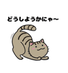 猫！猫！猫！猫（個別スタンプ：35）