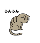 猫！猫！猫！猫（個別スタンプ：36）
