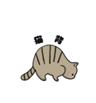 猫！猫！猫！猫（個別スタンプ：37）