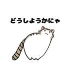 猫！猫！猫！猫（個別スタンプ：39）