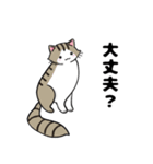 猫！猫！猫！猫（個別スタンプ：40）