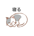 離れて暮らす猫さんより。（個別スタンプ：16）