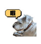 福太郎だよ（個別スタンプ：2）