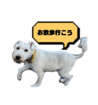 福太郎だよ（個別スタンプ：6）
