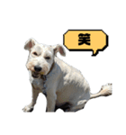福太郎だよ（個別スタンプ：11）