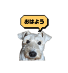 福太郎だよ（個別スタンプ：14）