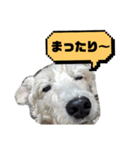 福太郎だよ（個別スタンプ：18）