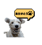 福太郎だよ（個別スタンプ：20）