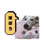 福太郎だよ（個別スタンプ：22）