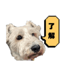 福太郎だよ（個別スタンプ：28）