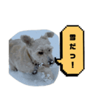 福太郎だよ（個別スタンプ：29）