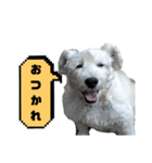 福太郎だよ（個別スタンプ：31）