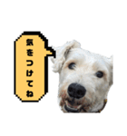 福太郎だよ（個別スタンプ：35）