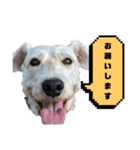 福太郎だよ（個別スタンプ：36）