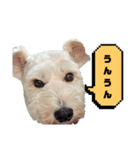 福太郎だよ（個別スタンプ：38）