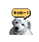 福太郎だよ（個別スタンプ：40）