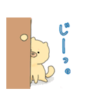 チャウチャウのこゆぞう（個別スタンプ：2）