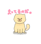 チャウチャウのこゆぞう（個別スタンプ：4）
