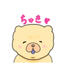チャウチャウのこゆぞう（個別スタンプ：8）