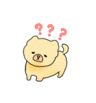 チャウチャウのこゆぞう（個別スタンプ：13）