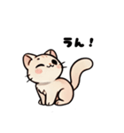 おしゃべり猫さんたち（個別スタンプ：1）