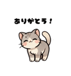 おしゃべり猫さんたち（個別スタンプ：3）