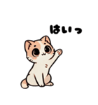 おしゃべり猫さんたち（個別スタンプ：5）