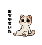 おしゃべり猫さんたち（個別スタンプ：7）