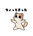 おしゃべり猫さんたち（個別スタンプ：8）