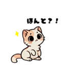 おしゃべり猫さんたち（個別スタンプ：9）