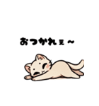 おしゃべり猫さんたち（個別スタンプ：11）
