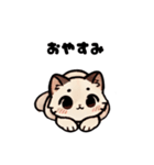 おしゃべり猫さんたち（個別スタンプ：12）