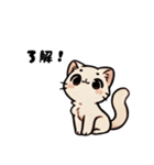 おしゃべり猫さんたち（個別スタンプ：13）