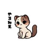おしゃべり猫さんたち（個別スタンプ：14）