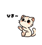 おしゃべり猫さんたち（個別スタンプ：16）
