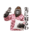 関西弁ゴリラ【家族連絡】（個別スタンプ：4）