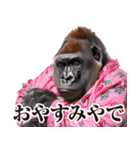 関西弁ゴリラ【家族連絡】（個別スタンプ：5）