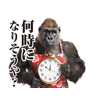 関西弁ゴリラ【家族連絡】（個別スタンプ：6）