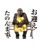 関西弁ゴリラ【家族連絡】（個別スタンプ：10）