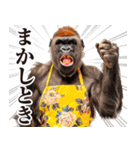 関西弁ゴリラ【家族連絡】（個別スタンプ：12）
