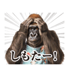 関西弁ゴリラ【家族連絡】（個別スタンプ：13）