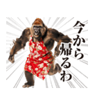 関西弁ゴリラ【家族連絡】（個別スタンプ：16）