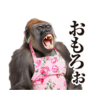 関西弁ゴリラ【家族連絡】（個別スタンプ：18）