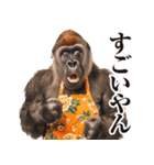 関西弁ゴリラ【家族連絡】（個別スタンプ：19）