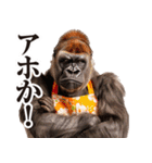 関西弁ゴリラ【家族連絡】（個別スタンプ：32）